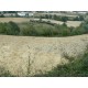 Properties for Sale_Farmhouses to restore_La Casetta in Campagna in Le Marche_8